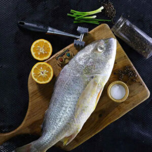 خرید و قیمت ماهی سنگسر تازه