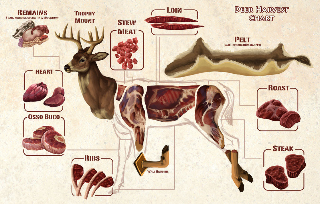 deer chart صفحه اصلی