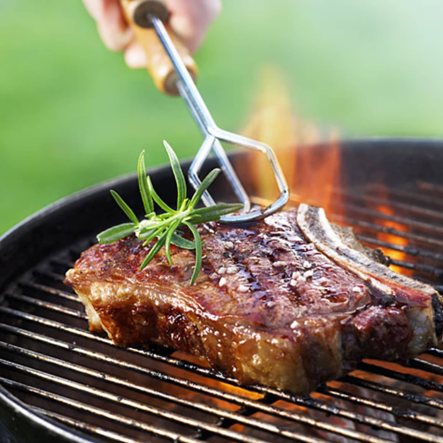 steak cook نکات برتر که هنگام پخت گوشت آهو باید بدانید