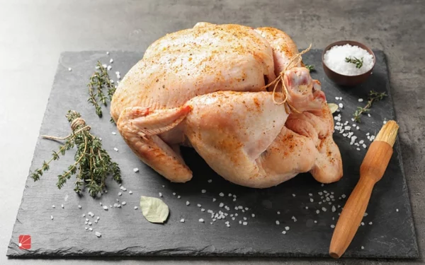 Benefits of turkey meat گوشت بوقلمون محلی ارگانیک کامل