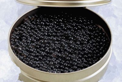 17 صفحه اصلی