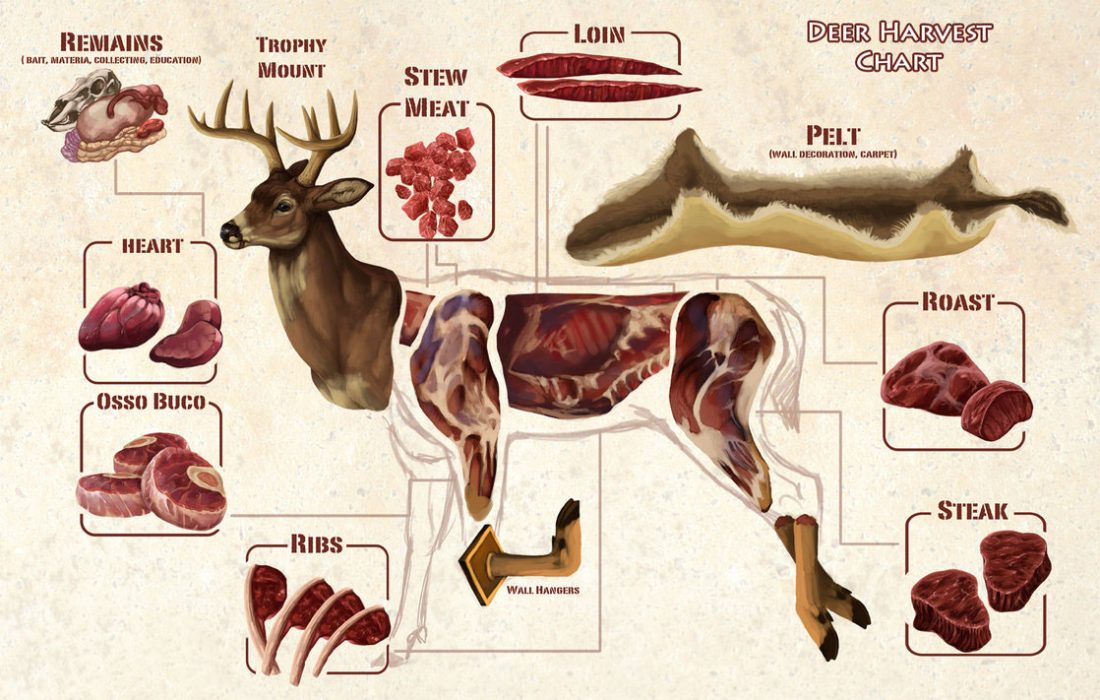 deer-chart.jpg